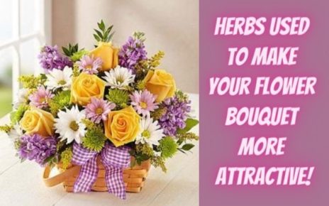 Herbs Used To Make Your Flower Bouquet More Attractive