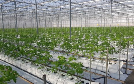 Planning to be one of the hydroponic farming