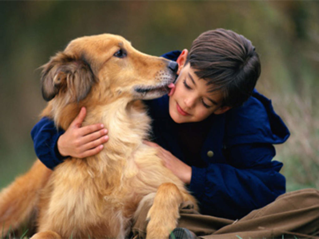 Free Help with Dog Behavior Problems: 3 Effective Cures